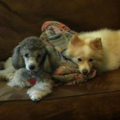Gail Wade's photo
