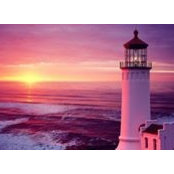 Angelo Binetti's photo
