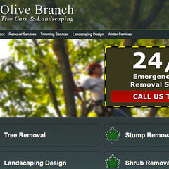 Tree Removal Buffalo NY