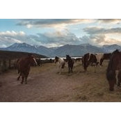 Robin Adkins's photo