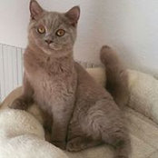 Pia Christel's photo