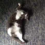Maggie Schollaert's photo