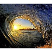 Frank Godwin's photo
