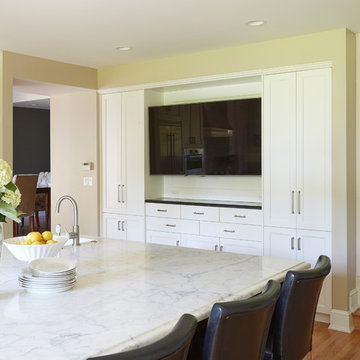 Downers Grove Kitchen