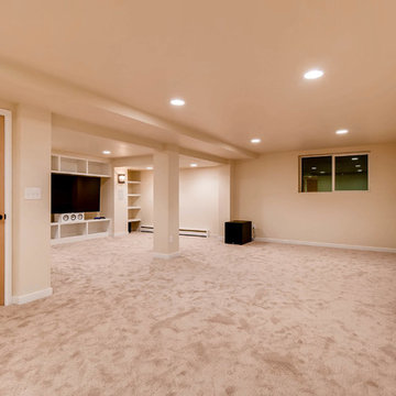 Eagle Modern Basement
