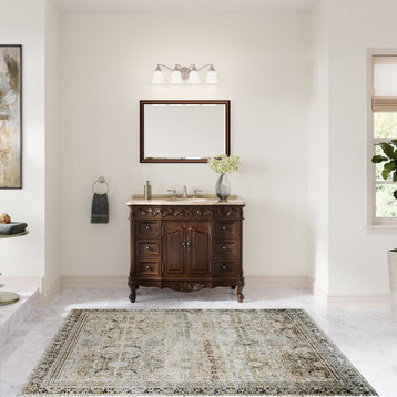 Antique White Traditional Style Single Sink Beckham Bathroom Vanity, Dark Brown, 42", Single Sink, Freestanding