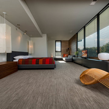 Walker Road Great Falls, Virginia luxury home minimalist modern primary bedroom