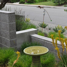 Frontyard