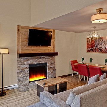 Electric Fireplace Meet Your Living Room