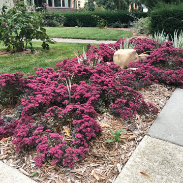 Small Garden Beds