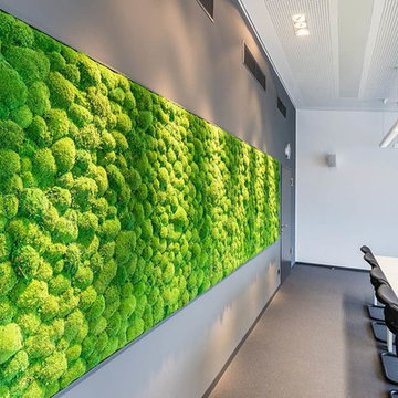Preserved Plants Moss Design