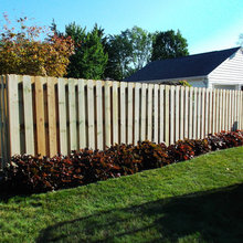 Shadow Fence