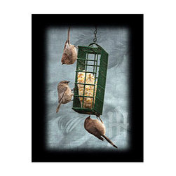 June Hunter Wood Panels - Artwork