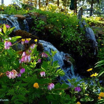 Stream in a garden landscape