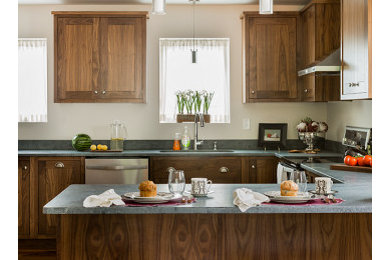 Inspiration for a contemporary kitchen remodel in Boston