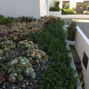 Ocean Front Walk, Marina del Rey