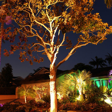 Landscape Lighting