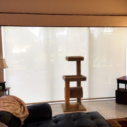 Solar Shades - Window Treatments