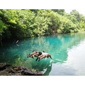 Eddie Sajovic's photo