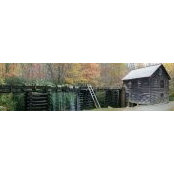 Nicholas Tyree's photo