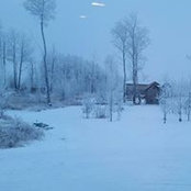 Coree-Ann McGonigle Watts's photo