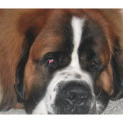 Cathy Colclasure's photo