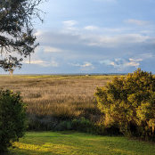 Foto von Onthemarsh