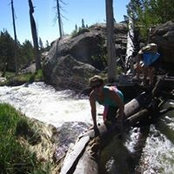 Julie LeBrun's photo