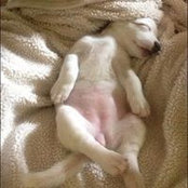 Amy Eyman Petersen's photo