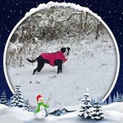 Kate Doyle-Henderson's photo