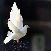 Zarina Kg's photo