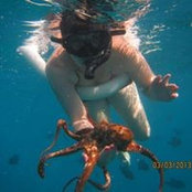 Loretta Antonino's photo