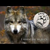 Nancy Garoppo's photo