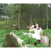 Nia Ngo's photo