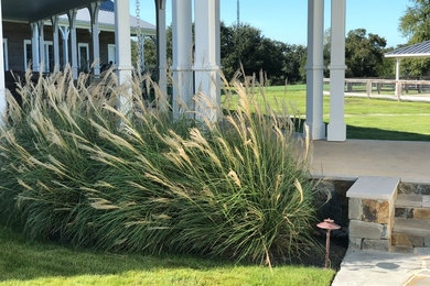 Photo of a traditional landscaping in Houston.