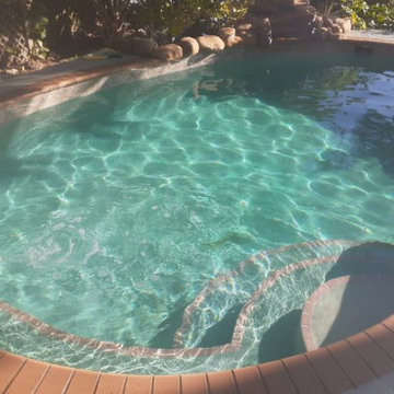 Pro Pool Service LWR