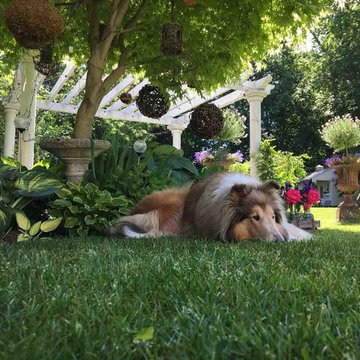Shade Gardens