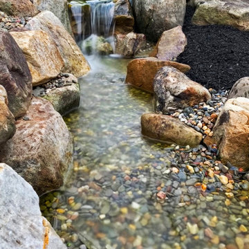Renovating an Old Pond