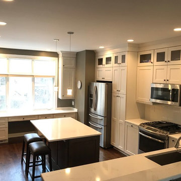 Chicago South Loop Kitchen Remodel