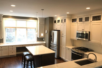 Chicago South Loop Kitchen Remodel