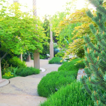 Upscale City Landscape