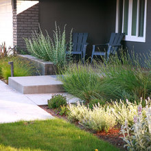 2020 Front yard