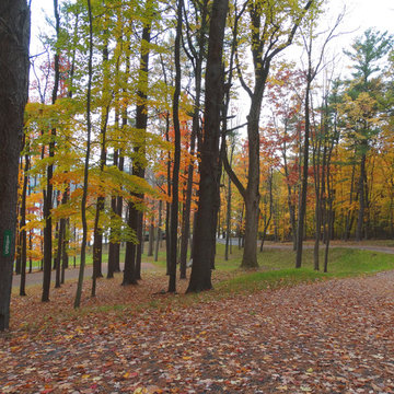 Skaneateles Lake Front Property