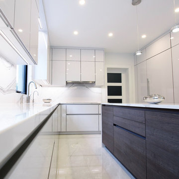 Wintery Leicht Kitchen