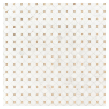 Bianco Dolomite Crema Dotty Polished Florence Marble Pattern Marble