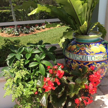 Large Pool Patio in Largo Florida Transformed