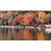 Todd Ebbert's photo