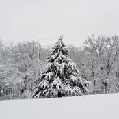 Janis Camerlinck's photo