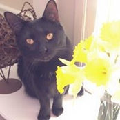 Christine Blacks foto