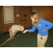 Jen Rudolph's photo